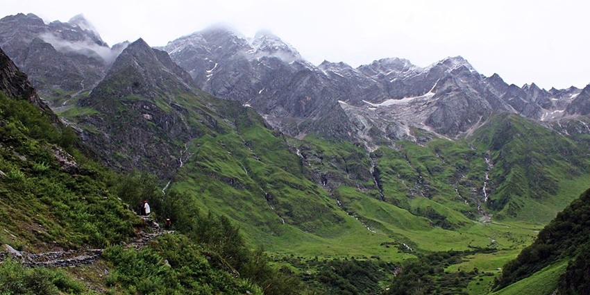 A colourful valley filled with blooming wildflowers in Uttarakhand.