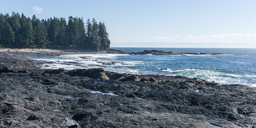 A scenic view of Vancouver Island in Canada featuring crystal-clear waters and greenery.