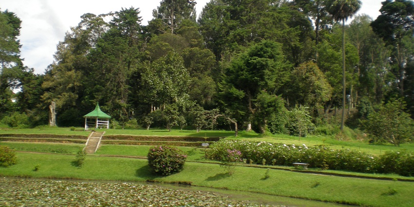 A glimpse of the iconic Victoria Park near Lake Gregory surrounded by lush greenery.