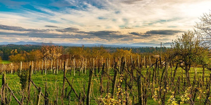 These are the best wineries and vineyards to visit with your partner.