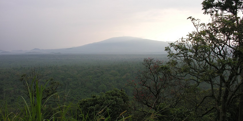 Virunga National Park, DRC, with lush forests, a gem among National Parks in Africa.
