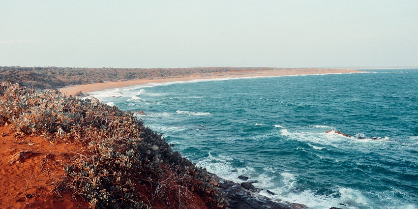 Make a trip to Bundala National Park, an exciting thing to do in Hambantota, Sri Lanka