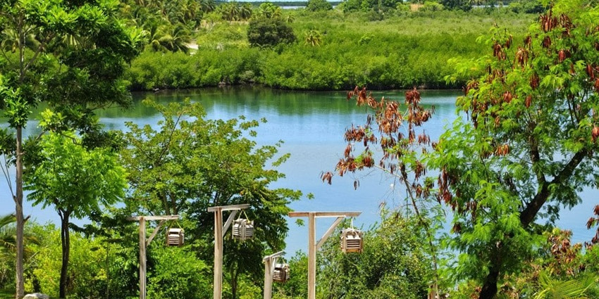 An image of the tranquil beaches and turquoise waters of Île-à-Vache, a serene island off Haiti’s southern coast.