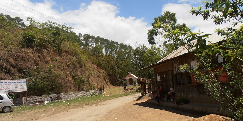 Keibul Lamjao National Park with green landscape, small bushes and distant hills.