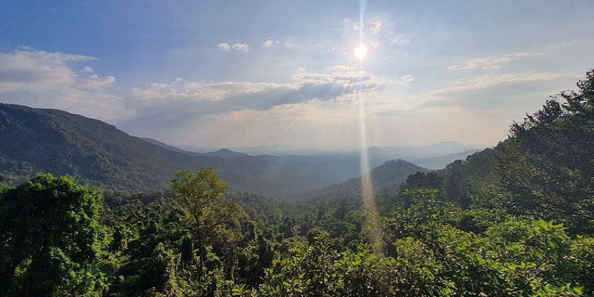 Image of the scenic Mollem National Park–best things to do in Goa in June