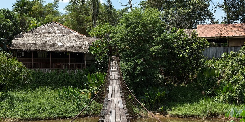 An image of a jungle setting featuring a wooden suspension bridge leading thatched houses