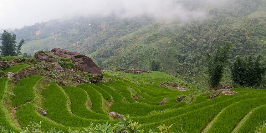 Panoramic view of Sapa rice terraces in Vietnam with its hills blanketed with mist