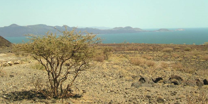 Scenic view of This lake, Kenya, with its turquoise waters and arid, rocky landscape