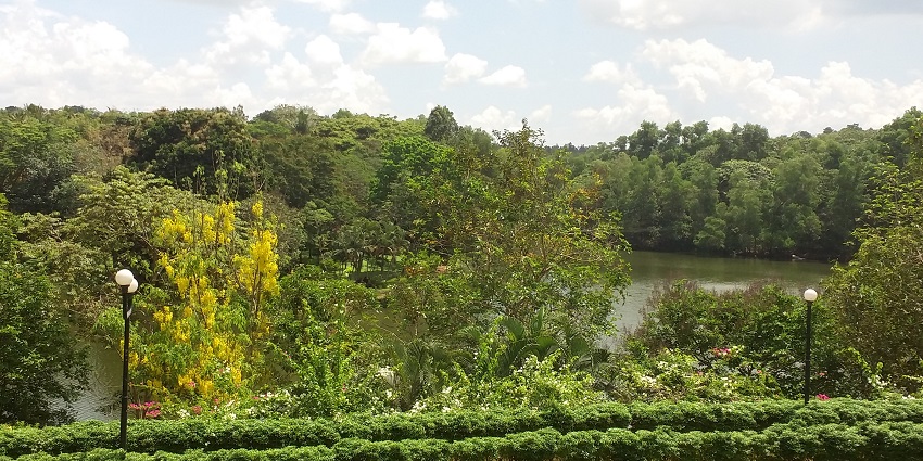 Explore the beautiful Dry Zone Botanical Garden in Sri Lanka, a thing to do in Hambantota
