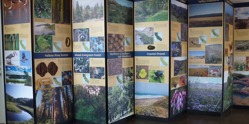 Explore ecosystems, biodiversity, and sustainability through interactive exhibits