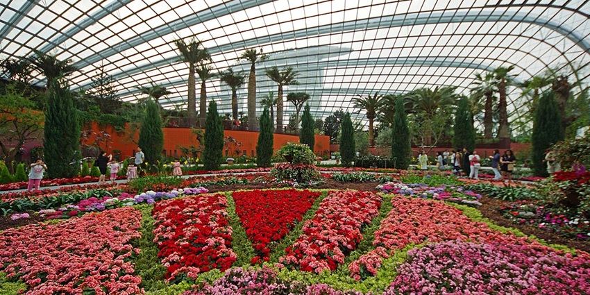 Image of vibrant flowers blooming in the flower dome