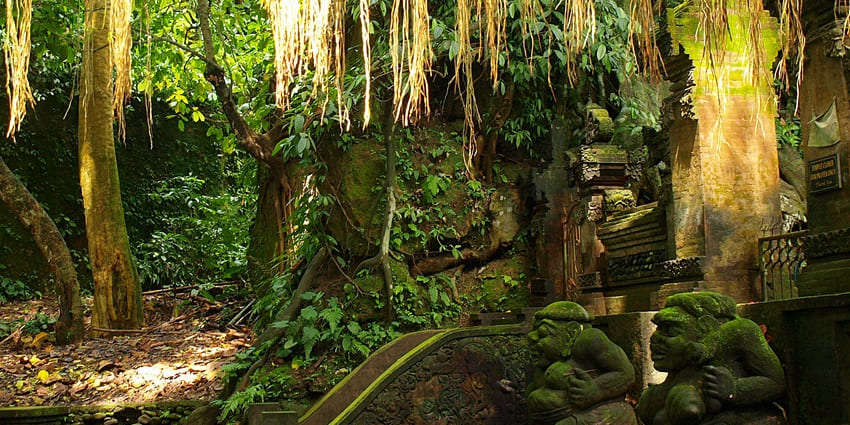 Stand beneath the massive, ancient Banyan tree and feel its sacred energy.