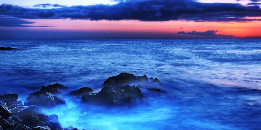 Experience the magical bioluminescent glow on the shores of Vaadhoo Island.