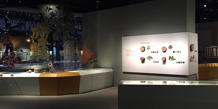 A display about the various life forms in the heritage gallery