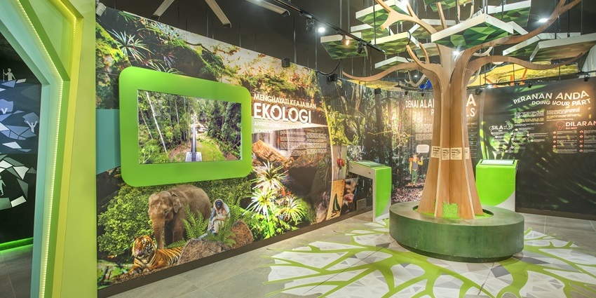 Image of a discovery centre - one of the best places to explore with kids in Maldives