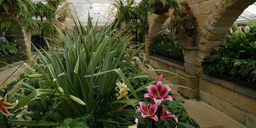 An image of the Royal Tasmanian Botanical Gardens, one of the best botanical gardens.