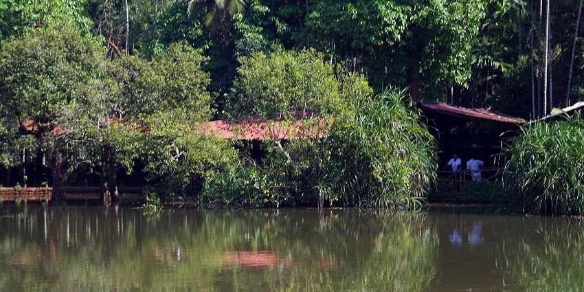 Beautiful image of the Spice-Plantation am Lake Arakere, Ponda
