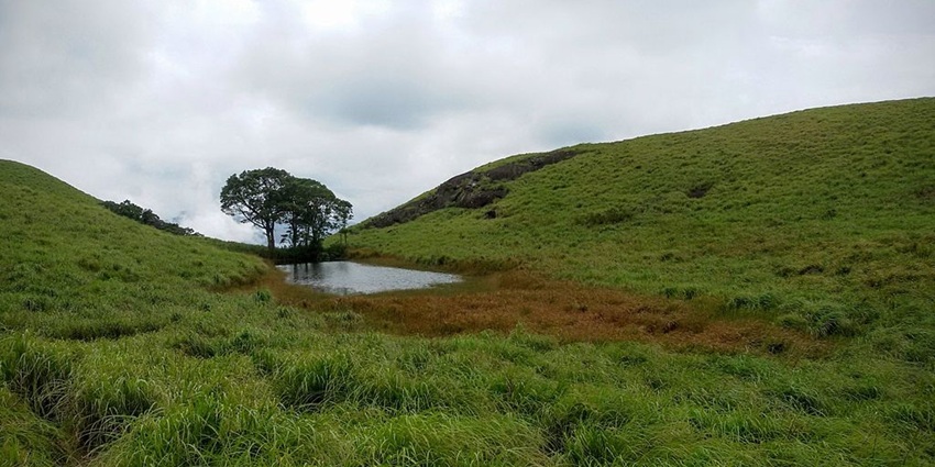 An image of the base of Chembra Peak near the lake where you can find watchtower.