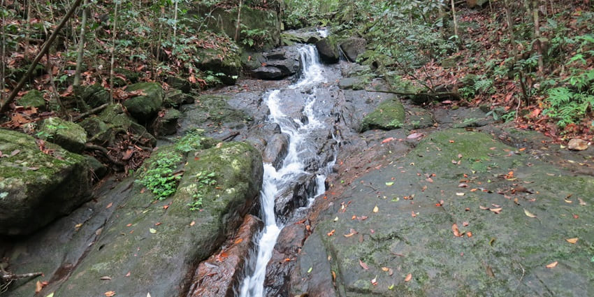 A beautiful view of one of the waterfalls in the Sinharaja Forest Reserve.