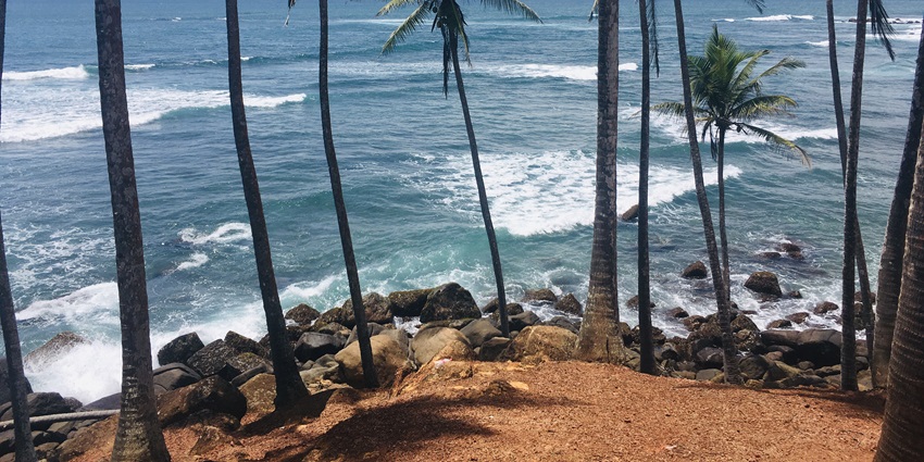 Majestic view of the Coconut Tree Hill, with tall palm trees and waves crashing the shores.