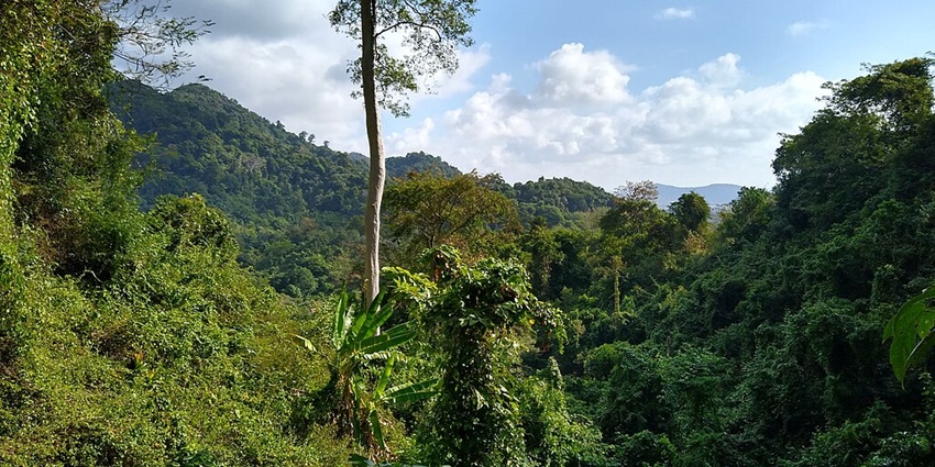 An image of the interior of the Bokor National Park, a popular tourist spot in Kampot.