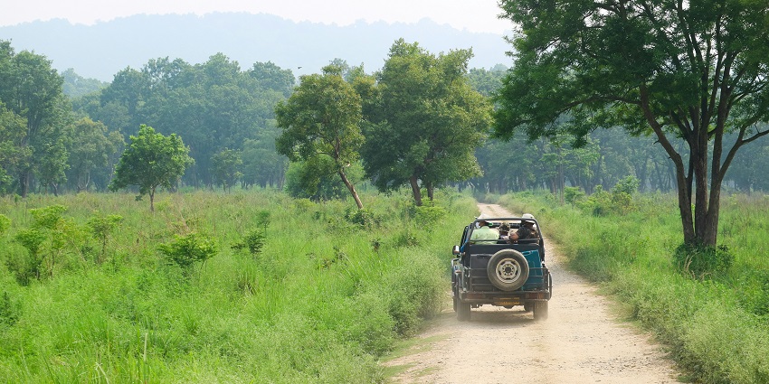 The Volcanoes National Park is a well-known African jungle safari to explore in Rwanda.