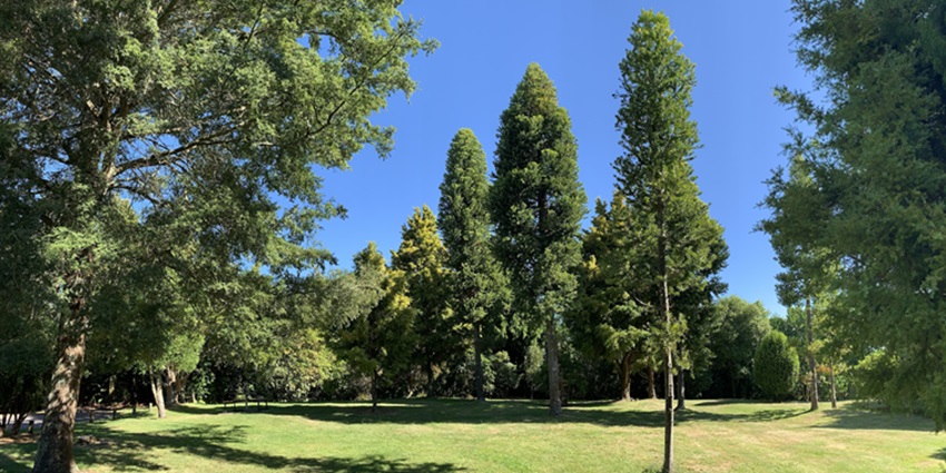 Waipahihi Botanical Gardens, one of the best places to visit around the Huka Falls.