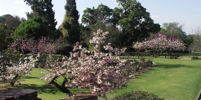 An image of the Botanical Gardens, one of the best things to do in Johannesburg.