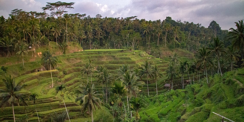 Scenic picture of the Wanagiri Hidden Hills, featuring it lush surroundings