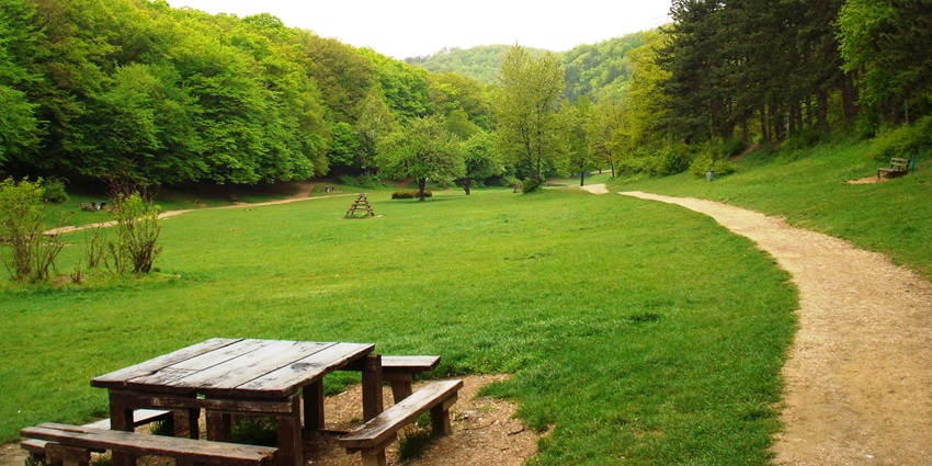 A sprawling green oasis in Pristina, Kosovo, offering scenic walking trails, cycling paths