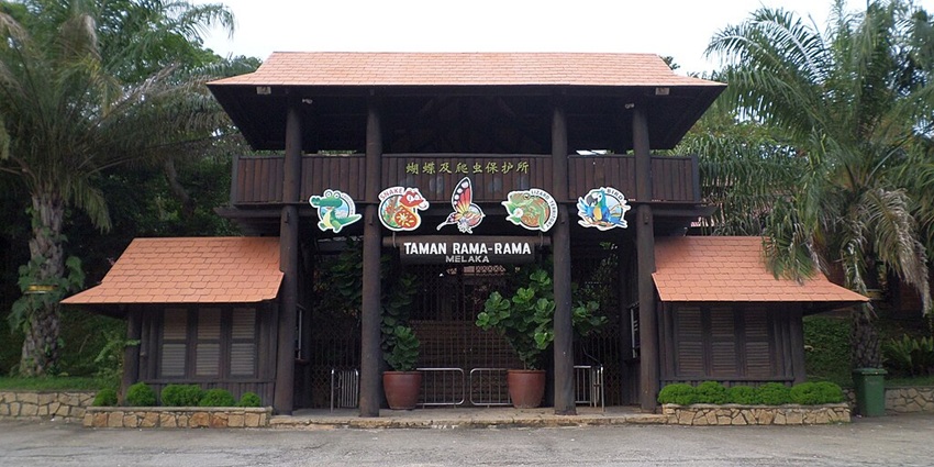 Wander through the Malacca Butterfly & Reptile Sanctuary for a nature escape.