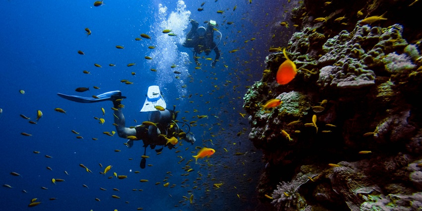 View of a tourist scuba diving in the turquoise waters of Weligama bay
