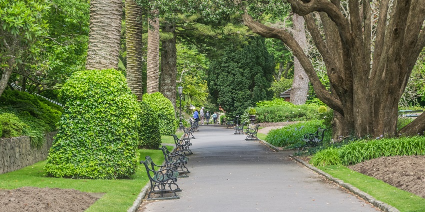 An image of the vibrant Wellington Botanic Garden featuring colourful flowers.