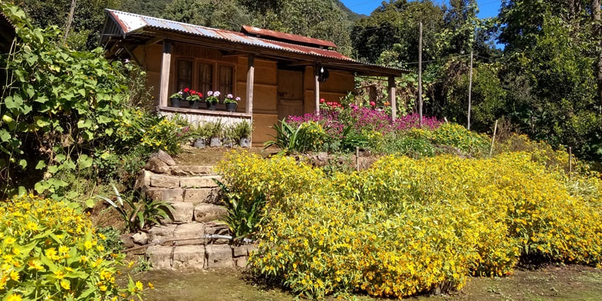 A cosy homestay in the lap of lush green hills surrounded by colourful wild flowers.