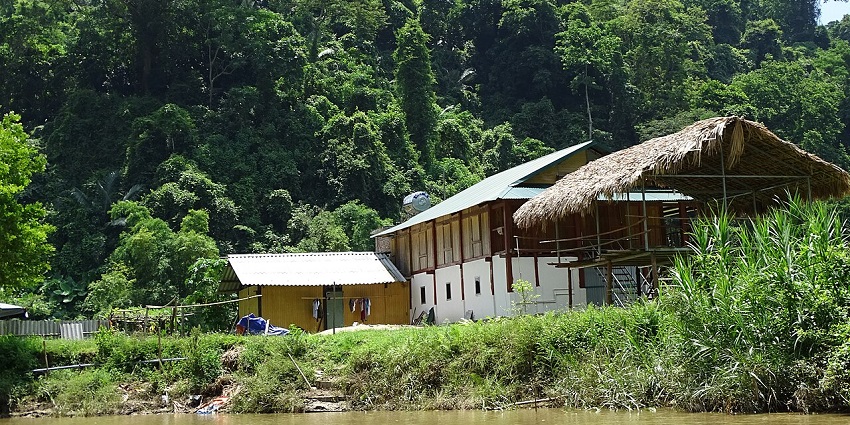 A lakeside eco-lodge near Ba Be Lake, surrounded by lush greenery and wooden huts