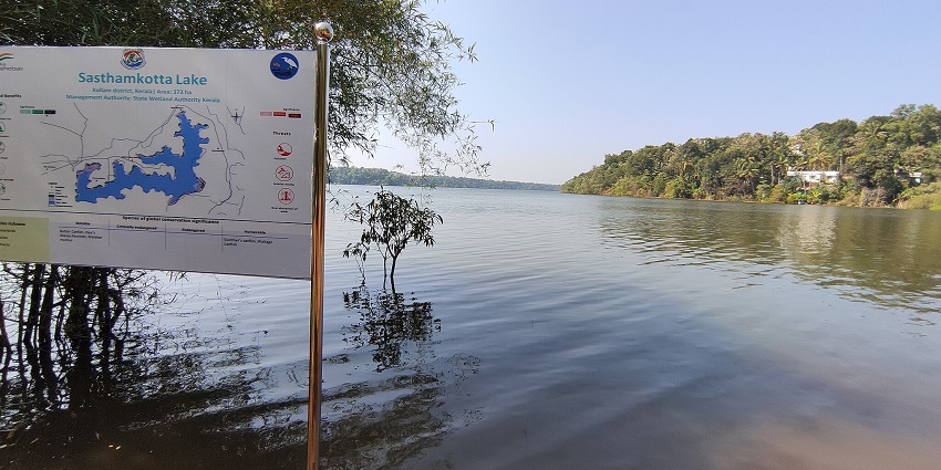 Relish the breathtaking beauty of Sasthamkotta Lake, the queen of lakes in India.