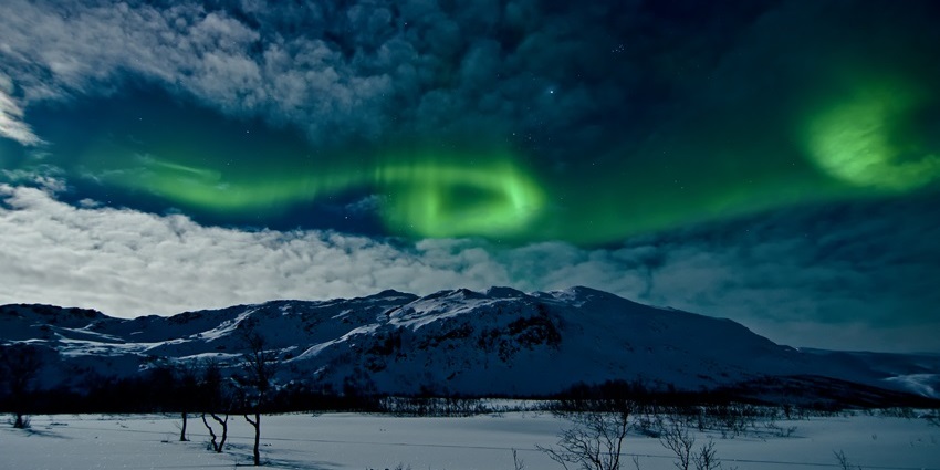 Marvel at Tromsø’s dazzling auroras as vibrant green and purple lights across the night sky.