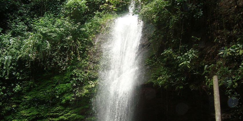 The highest waterfall in Ghana, surrounded by lush rainforest and vibrant birdlife.