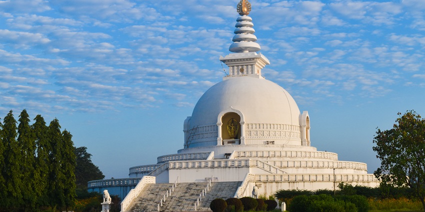 World peace pagoda with white architecture and golden peak surrounded by greenery
