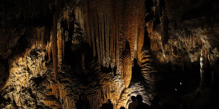 Jersey Cave at Yarrangobilly displays stunning calcite formations with unique textures.