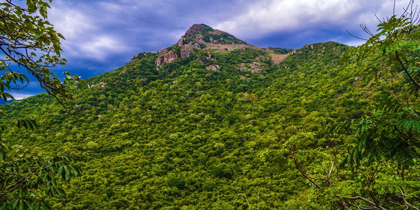 A breathtaking view of the majestic mountains of Yercaud, a scenic destination.