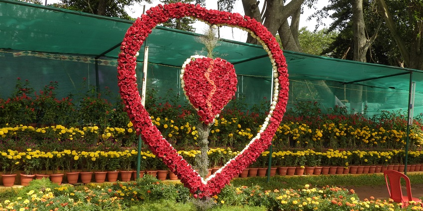 An image of a flower show similar to the event at the Yercaud Summer Festival in Salem.