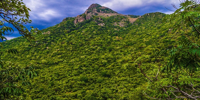 An image of the Yercaud hill station in Tamil Nadu, one of the best places for a spring vacation.