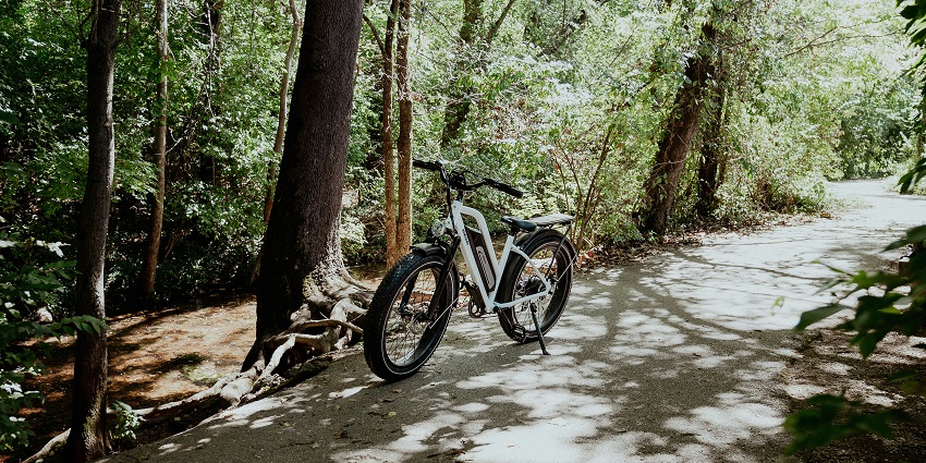 A view of You Yangs Regional Park with rocky trails, hiking paths, and eucalyptus trees.