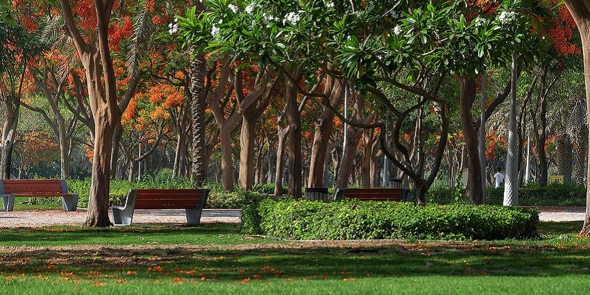 A vast green space in Dubai with walking trails and recreational activities.