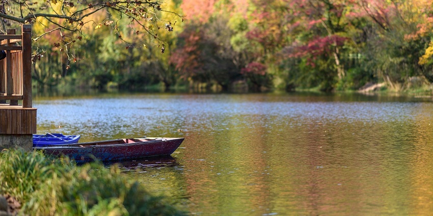 A calm riverbank scene with a small boat resting along the shore, reflecting a peaceful setting.