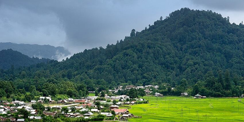An image of the rural terraced fields of Ziro, Arunachal Pradesh, with a small house, winding road, and dense forested hills.