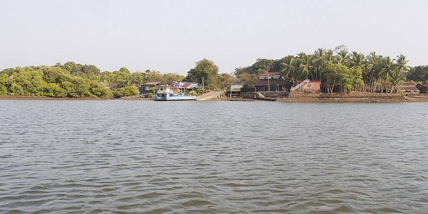 A glimpse of the tranquil waters of Zuari River surrounded by lush green vegetation.