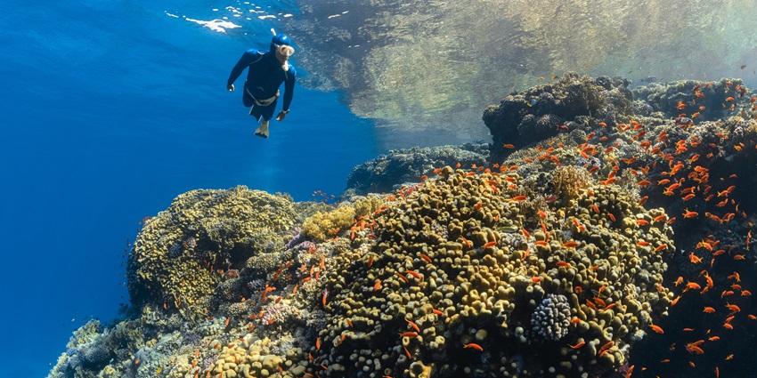 Popular diving destination with crystal-clear waters and abundant marine biodiversity.
