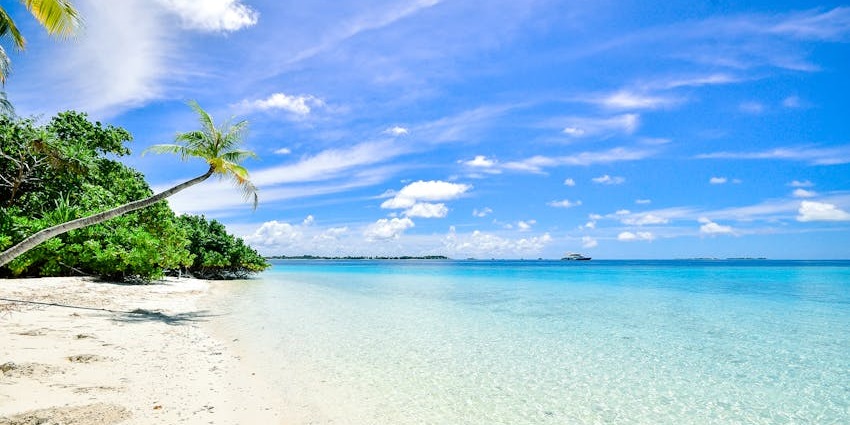 Play beach volleyball, football, or frisbee while enjoying the ocean breeze.